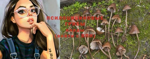 героин Богданович