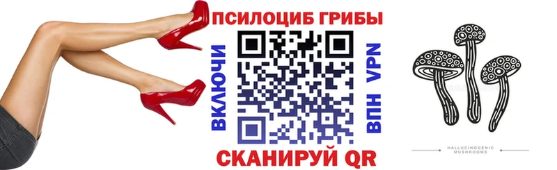 Псилоцибиновые грибы Psilocybe  купить   Донецк 